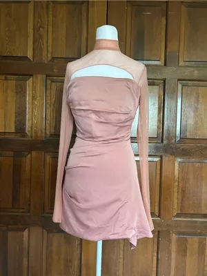 ALIAVA ALIEVA Maya Mini Dress Pink‎ Size XS NWT Cocktail Party Silk Corset Top thumbnail 3