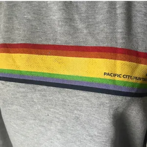 John Galt Brandy Melville Gray Rainbow Stripe Cropped Sweatshirt‎ Small OS thumbnail 5
