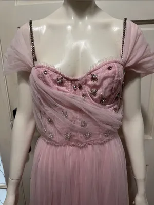 LoveShackFancy Dantine Ballet Embellished Tulle Evening Gown Maxi Dress S 14 thumbnail 5