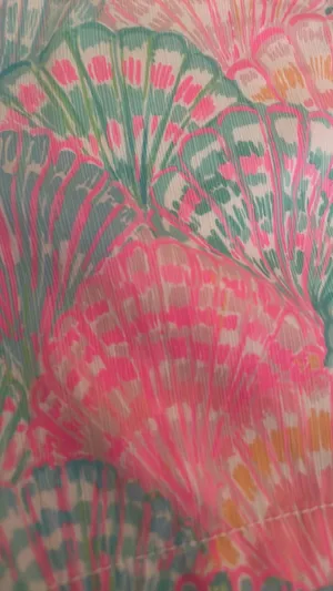 Lilly Pulitzer The Callahan Shorts thumbnail 2