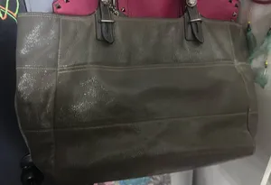 Coach Bag thumbnail 2