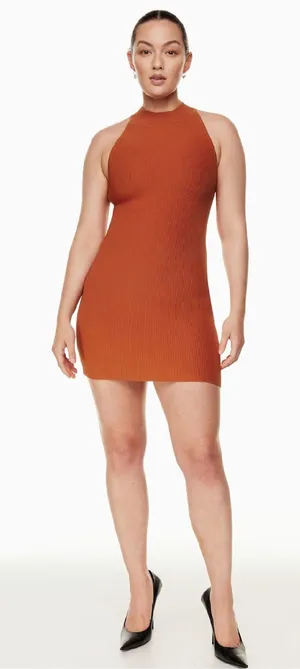 Aritzia Babaton Sculpt Knit Dress thumbnail 1