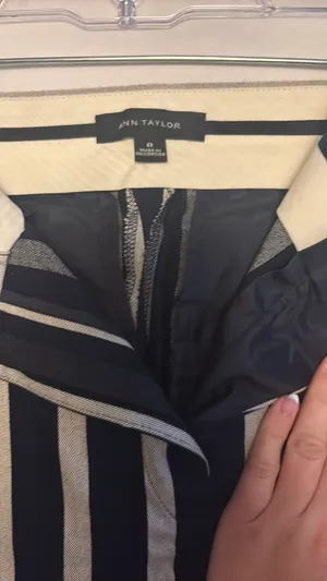 Ann Taylor Work Pants thumbnail 4