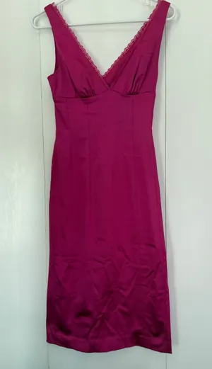 Bebe Dress thumbnail 4