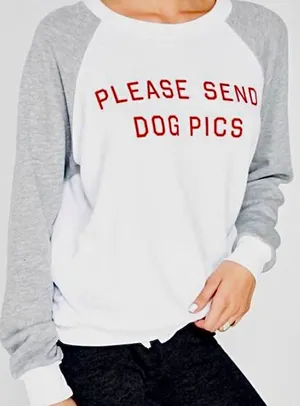 Wildfox New. Please Send Dog Pictures sweatshirt. Small. Retails $98 thumbnail 2