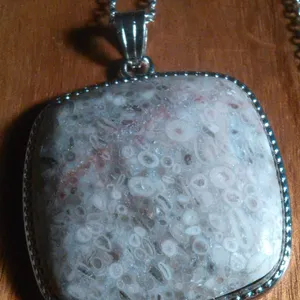 Ocean Fossil Jasper Inlay Frame Silvertone Pendant Stainless Steel Necklace thumbnail 4