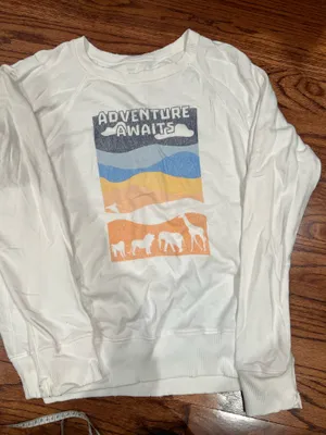 Aerie American Eagle Crewneck Sweatshirt thumbnail 1