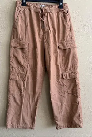 PacSun Men’s Cargo Pants in Light Brown thumbnail 1