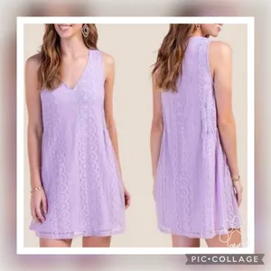 NWT Francesca’s (Blue Rain) Lavender Lace Shift Dress M thumbnail 12