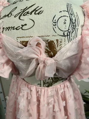 S389. Mabel x Petal & Pup Raelyn Pink Butterfly Appliqué Mini Dress Size Small thumbnail 5