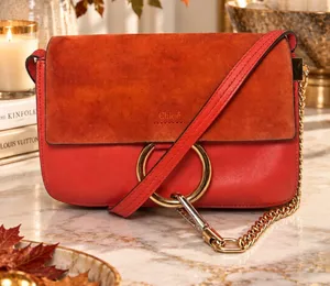 Chloé Faye Small Suede & Leather Crossbody Shoulder Bag – Red / Rust thumbnail 1
