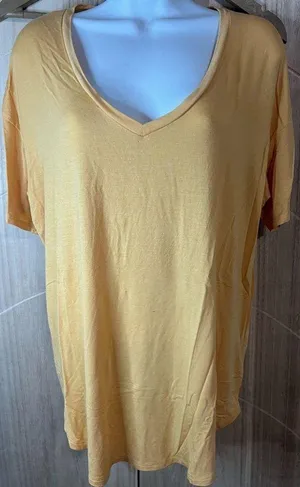 American Eagle Outfitters Mustard Short Sleeve Tee thumbnail 1