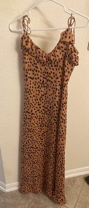 Forever 21 Printed Maxi Dress thumbnail 1