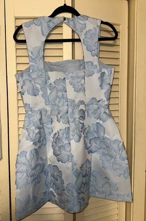 Showpo Kyra Mini Dress Blue Floral thumbnail 3