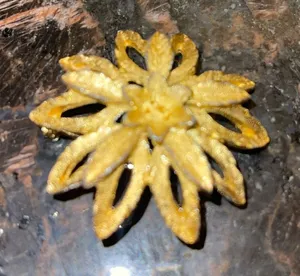 Vintage Faux Gold Floral Brooch w/ Missing Center AS IS thumbnail 1