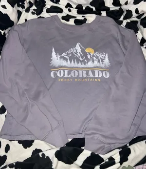 Hollister Cropped Sweatshirt thumbnail 1