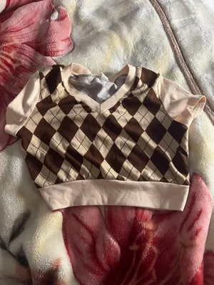 Polo Medium Creme Dark Brown Cropped Gingham thumbnail 1