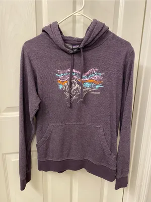 Patagonia Women's Plum Pullover Hoodie with Mountain Graphic organic cotton thumbnail 2