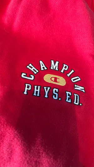 PacSun champion sweatpants thumbnail 2