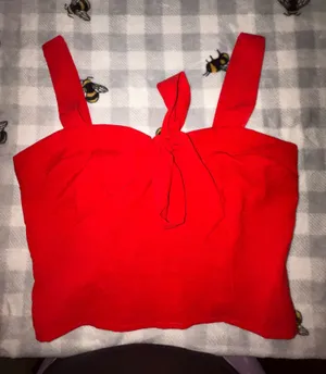 Sienna Sky. New with Tags Red and white plaid crop top. thumbnail 1