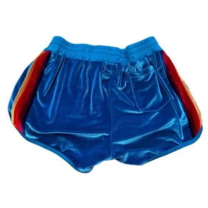Aviator Nation Velour Retro Dolphin Shorts Blue Rainbow Stripe Made in USA (L) thumbnail 3