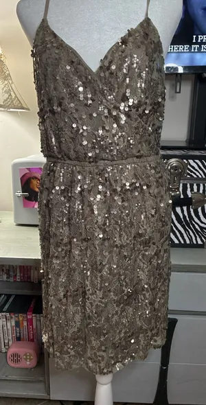 Express Formal Dress thumbnail 1