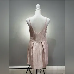 CLEAROUT! Pink Kimchi Blue Mini Dress Size 10 NWT thumbnail 2