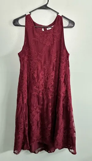 BB Dakota Candence Dress Floral Lace Burgundy Sleeveless Small Christmas Swing thumbnail 1