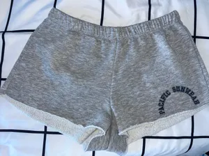 PacSun Gray Shorts thumbnail 4