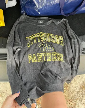 PITT long sleeve Gray thumbnail 1