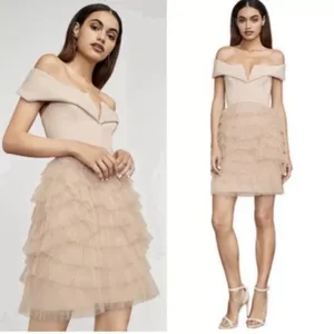 BCBGMaxAzria Ballet Girl Pink Ruffle Dress thumbnail 2