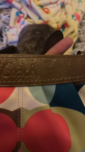Coach Wristlet Clutch Small thumbnail 4