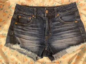 American Eagle Denim Shorts thumbnail 1