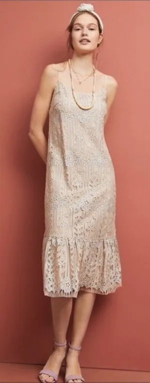 NWT Eli + Ali by Anthropologie Twilight‎ Lace Dress in Silver Size Medium thumbnail 1
