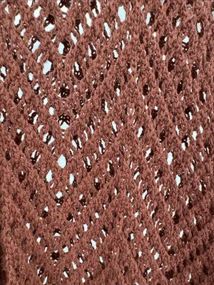 wild fable Brown metallic Open-Knit short sleeve crocheted Sweater L button up thumbnail 10
