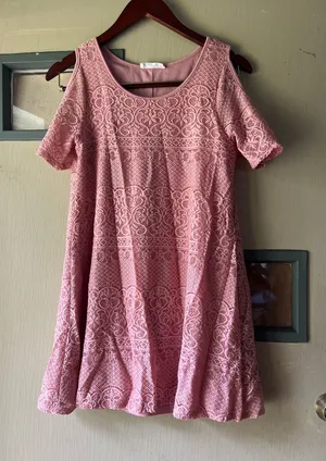 Daisy Pink Lace Fit & Flare Short Sleeve Dress thumbnail 1