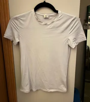 Aritzia Wilfred T-Shirt thumbnail 1
