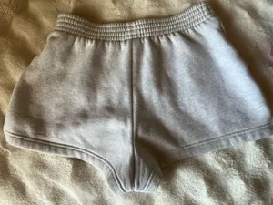 Aritzia sweatshorts perfect fit  thumbnail 3