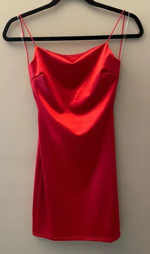 NWT-Windsor dress thumbnail 1