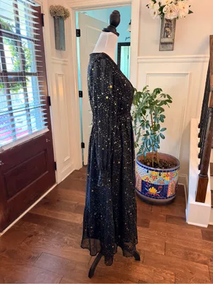 By The River NWOT Black & Gold Star Print Maxi Dress thumbnail 6