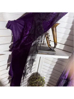 The evil court countess of darkness sexy witch sorceress velvet mesh costume L thumbnail 12
