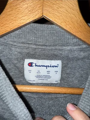 Champion Arches National Park Crewneck Sweatshirt - Gray thumbnail 2