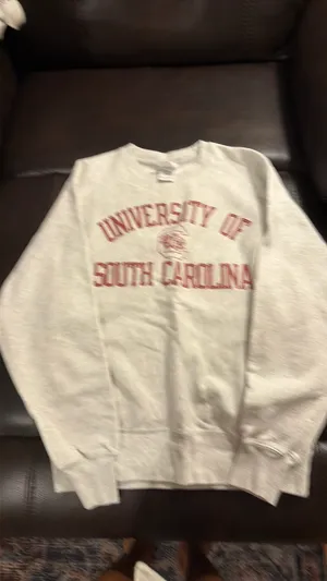 Champion South Carolina Gamecocks Sweatshirt thumbnail 4