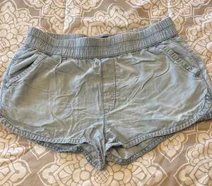 American Eagle Outfitters Sky Blue Shorts thumbnail 1