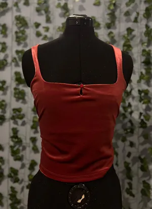 Wild Fable Y2K inspired Deep burgundy crop top thumbnail 1
