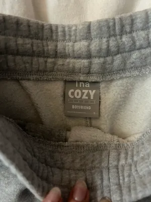 Aritzia Shorts thumbnail 3