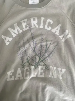 American Eagle Sweatshirt thumbnail 3