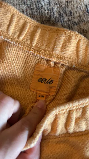 Aerie shorts thumbnail 2