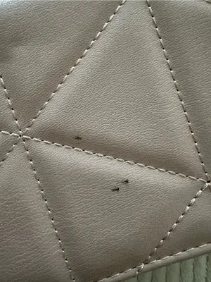 Bebe Vintage Blush Quilted Crossbody Bag with Gold Chain thumbnail 4