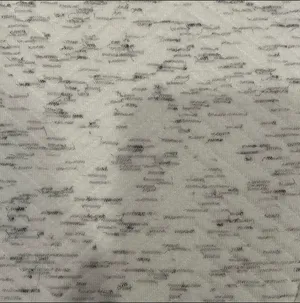NWOT Crewneck sweater thumbnail 3
